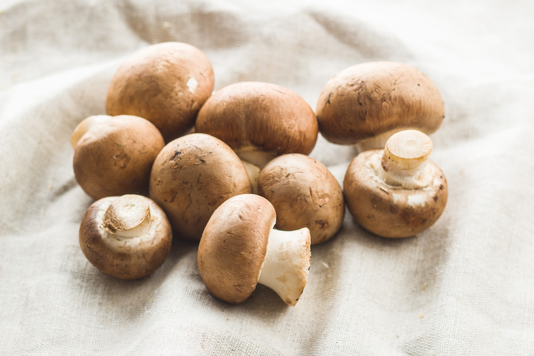 Fresh champignon mushrooms on cloth | Featured image for wholesale mushrooms.