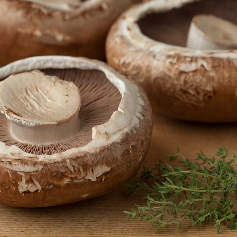 Portabello mushroom | Featured image for restaurant suppliers home page.