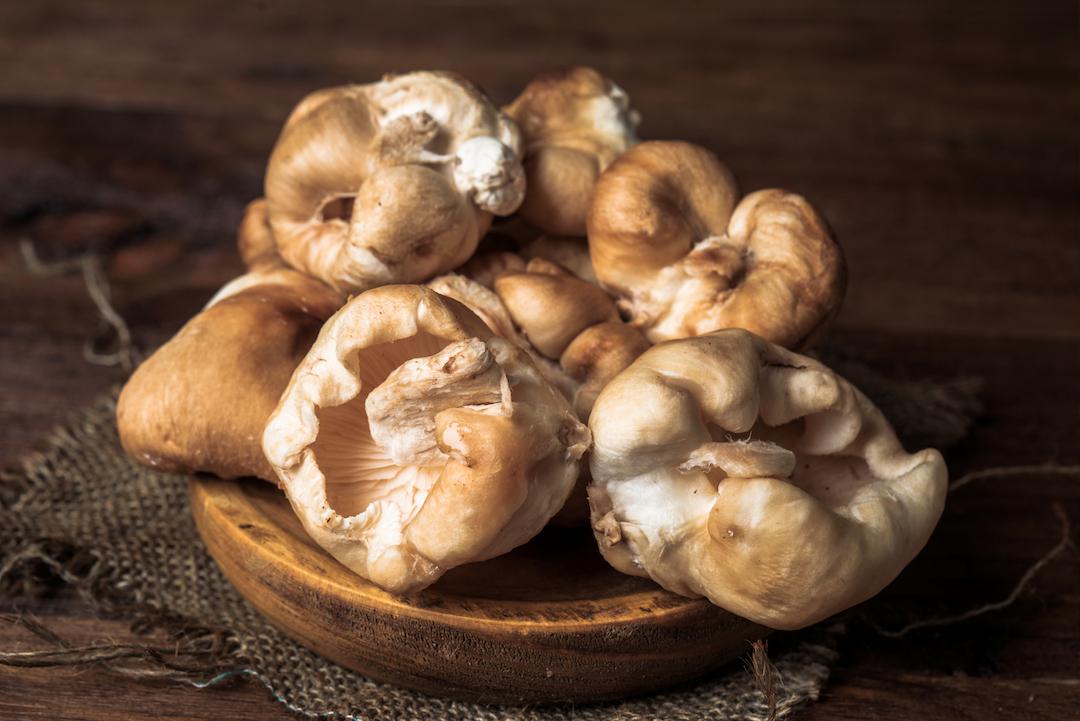 Shiitake mushrooms on rustic board | Featured image for wholesale mushrooms.