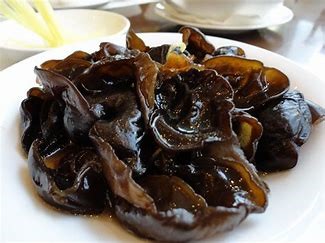 Black fungi mushroom | Featured image for wholesale mushrooms supplier product page.