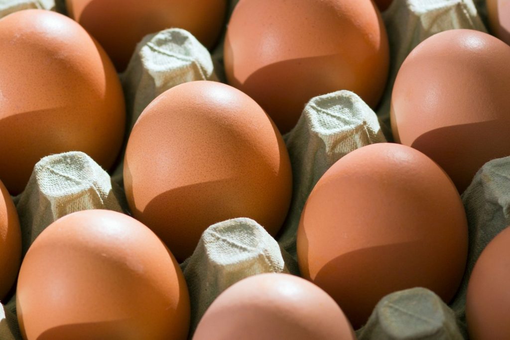 Image of eggs in tray | Featured image for What are free range eggs blog.